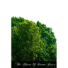 The Glories Of Divine Grace