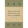 How to Care for the Feet of your Horses and Mules