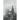 Among Ruins