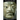 The Jaredites Were Black