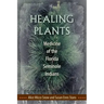 Healing Plants: Medicine of the Florida Seminole Indians