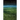 The Word for World Is Forest