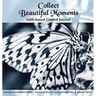 Collect Beautiful Moments: Faith-Based Guided Journal