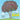 Why God Made Trees