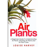 Air Plants: A Beginners Guide To Understanding Air Plants, Growing Air Plants and Air Plant Care (Booklet)