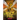 The Hive Queen (Wings of Fire #12): Volume 12