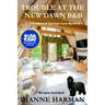 Trouble at the New Dawn B & B: A Cottonwood Springs Cozy Mystery
