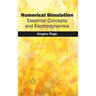 Numerical Simulation: Essential Concepts and Electrodynamics