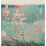 Condolence book for funeral (Hardcover): Memory book, comments book, condolence book for funeral, remembrance, celebration of life, in loving memory f
