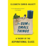 The Sum of Small Things: A Theory of the Aspirational Class