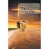 His Welcoming Arms: A Daily Prayer Study Guide