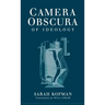 Camera Obscura: An Archeological Survey from the Paleolithic to the Iron Age