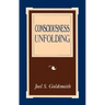 Consciousness Unfolding