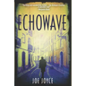 Echowave: Book 3 of the WW2 spy novels set in neutral Ireland