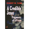 A Credible Jesus: Fragments of a Vision