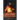 A Heart of Flesh