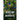The Question of the Aesthetic