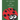The Ladybug Who Lost Her Spots