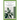 Insulin Plant for Diabetes Pain Relief: Guide To Using Insulin Plant For Managing Diabetes