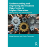 Understanding and Improving the Student Experience in Higher Education: Navigating the Third Space