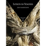 Letters to Yesenin