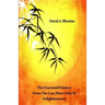 The Essential Pointers From The Lazy Man's Way To Enlightenment