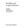 Families and Larger Systems: A Family Therapist's Guide Through the Labyrinth
