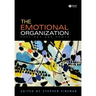 The Emotional Organization: Passions and Power