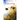 Expectation