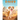Daisy the Dingo Dog