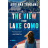 The View from Lake Como