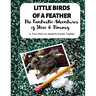 Little Birds of a Feather: The Fantastic Adventures of Steve and Timmy