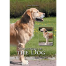 Structure of the Dog: Basic Course