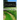 Love Songs For A Country Lane