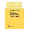Algebraic Groups and Class Fields