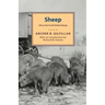 Sheep: Life on the South Dakota Range