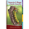 Insects & Bugs of North America: Your Way to Easily Identify Insects & Bugs