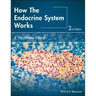 How the Endocrine System Works