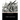 The Great Boer War
