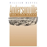 Andersonville: The Last Depot