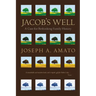 Jacob's Well: A Case for Rethinking Family History