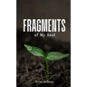 Fragments of My Soul