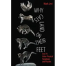 Why Cats Land on Their Feet: And 76 Other Physical Paradoxes and Puzzles