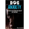 Dog Anxiety?: Methods For Separation Anxiety For Your Dog!