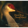 Have You Seen Mary?