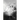 The Light and Dark of My Mind