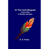 In the Irish Brigade; A Tale of War in Flanders and Spain