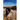 Plains Apache Ethnobotany