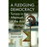 A Fledgling Democracy: Tunisia in the Aftermath of the Arab Uprisings