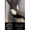 The Friedman Archives Guide to Sony's Alpha 1 (B&W Edition)